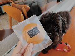 -CoffeeVendor(西乡店)