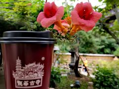 -龙华寺