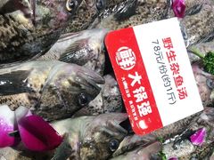 -大锅强·蒸海鲜青岛菜(吾悦广场店)