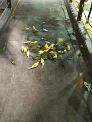 -酷嗒动物文化乐园(cutezoo西溪乐天城店)