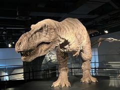 -浙江自然博物院(杭州馆)