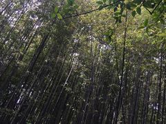 -东华大学第一食堂(松江校区店)