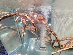 -盒马鲜生(悠方店)