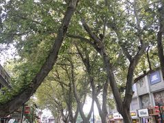 -清心素食自助餐厅(夫子庙店)