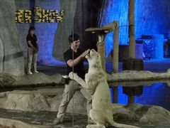 -清迈夜间动物园