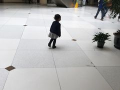 -上海中医药大学附属曙光医院(东部)