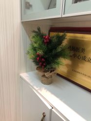 -欧扬医疗美容