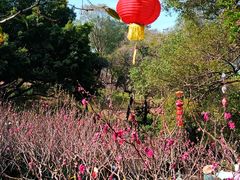 -桃花涧