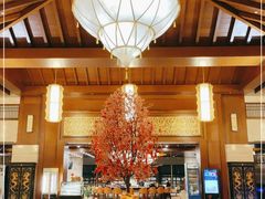 -宜春明月山维景国际温泉度假酒店