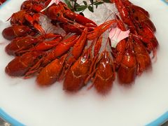 精品花雕冰镇龙虾-杨氏青龙虾·吃蟹季(金盛路总店)