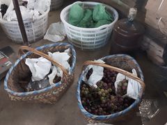 -马陆小张葡萄园农家乐