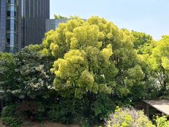 -虹御轩·传承江浙菜(虹桥店)