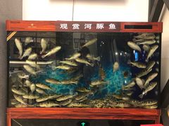 景观位-肆月河豚·新淮扬(金融街店)