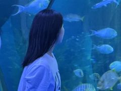 -泉城欧乐堡海洋极地世界