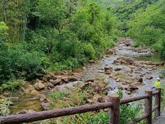 -广州白江湖森林公园