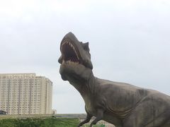 -陕西自然博物馆