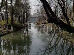 -青枫公园