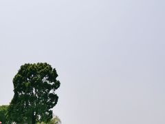 -上海月湖雕塑公园
