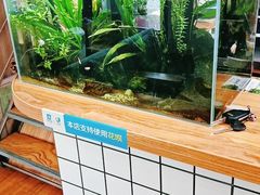 -Rabbit Cafe私房西餐甜点咖啡(栖霞路店)