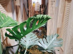 -邈墨茶馆(凤起路店)