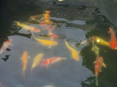 -西安市广仁寺