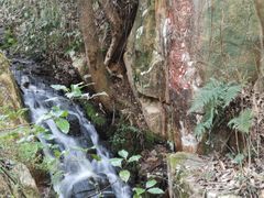 -白马涧龙池景区