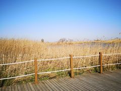 -盐城丹顶鹤湿地生态旅游区