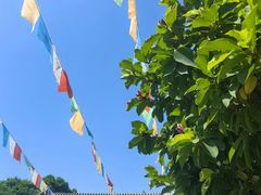 -西安市广仁寺