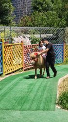 -萌宠亲子动物乐园(槐房万达店)