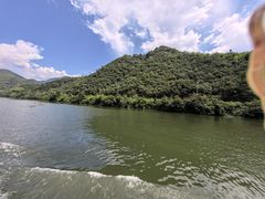 -芦茨金富饭庄·25年老字号·专做稻草鸡