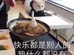 -王记川味麻辣烫(黄山园店)