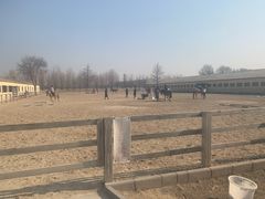 -北京群众马术培训基地