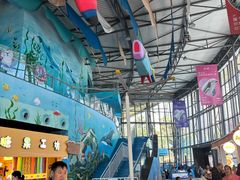 -海合安成都极地海洋公园