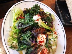 菜花甘藍-Cumulus Inc.