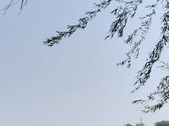 -白洋淀风景区