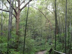 -南山风景名胜区