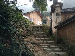 -杨家堂村