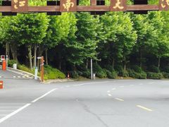-江南天池
