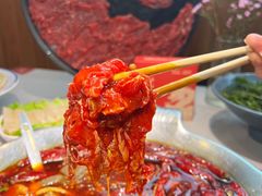 -渝大龙重庆火锅(温泉月亮湾店)
