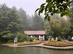 -庐山风景区花径公园