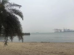 -鼓浪屿内厝澳码头(轮渡站)