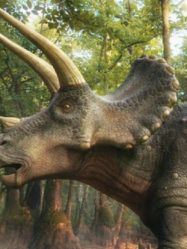 -恐龙探索乐园(磁器口店)