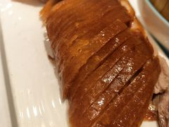 -津悦·正阳春烤鸭(红旗南路店)