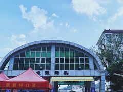 -鱼珠码头(轮渡站)
