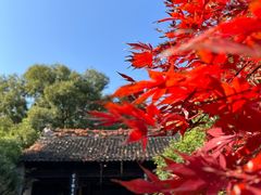 -惠山古镇·寄畅园