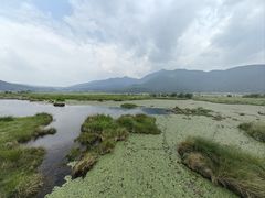 -腾冲北海湿地