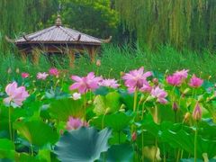 -太阳宫公园
