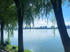 -艾溪湖湿地公园