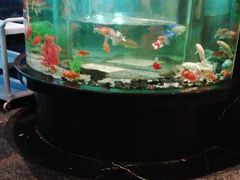 -王家渡火锅店(亦庄店)
