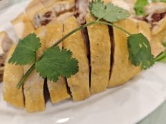 三黄鸡-福运来酒家(川南奉公路店)